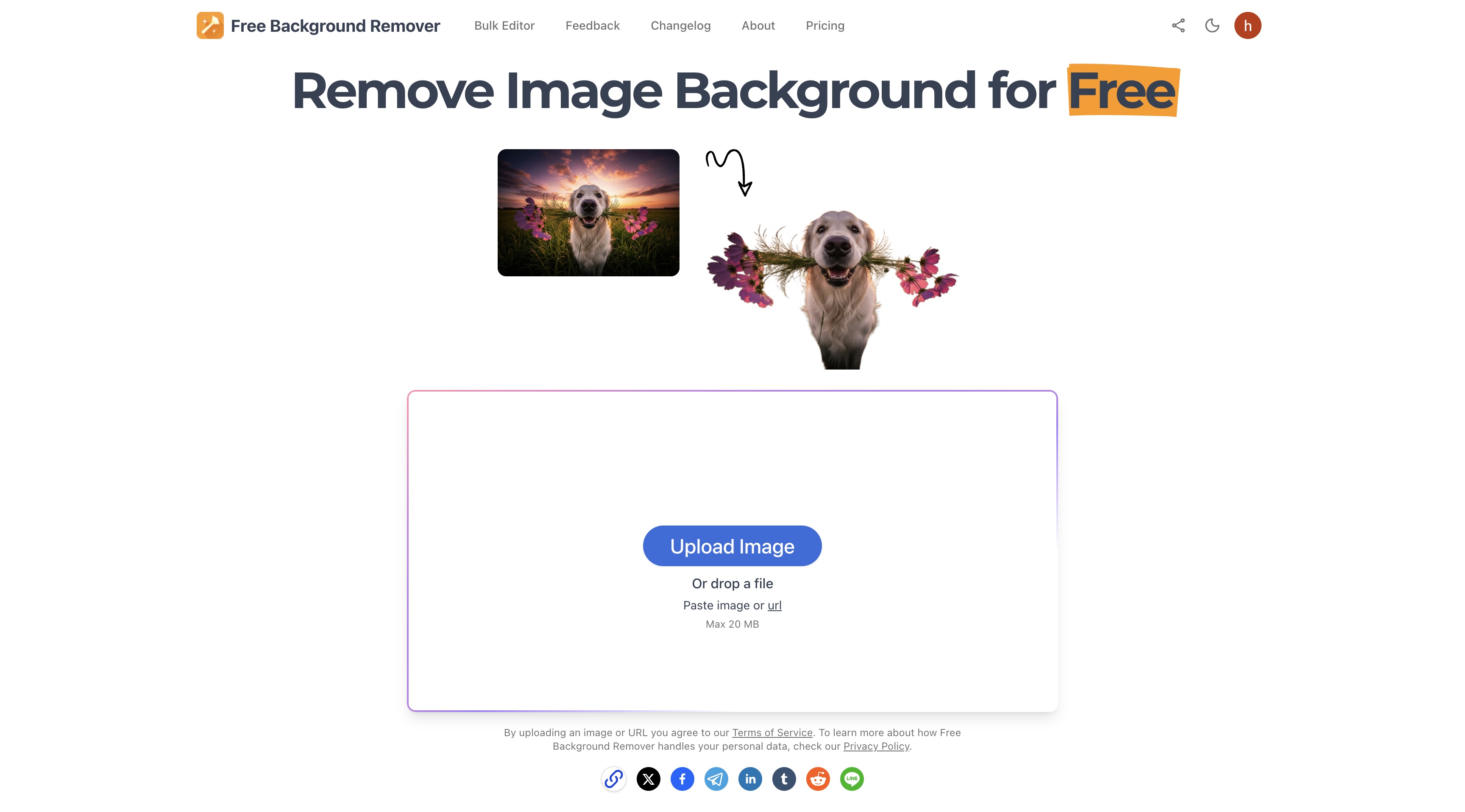 The Best Image Background Remover by AI