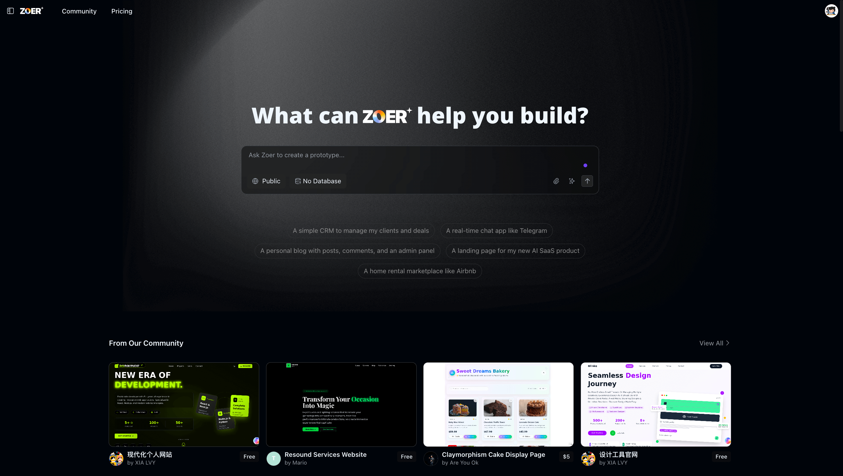 Zoer - Turn Your Idea Into a Full Application