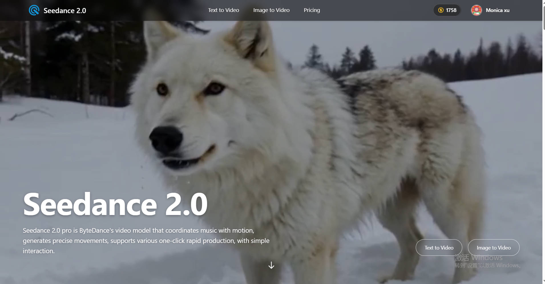 Seedance 2.0 AI Generator | Create Content Online Free