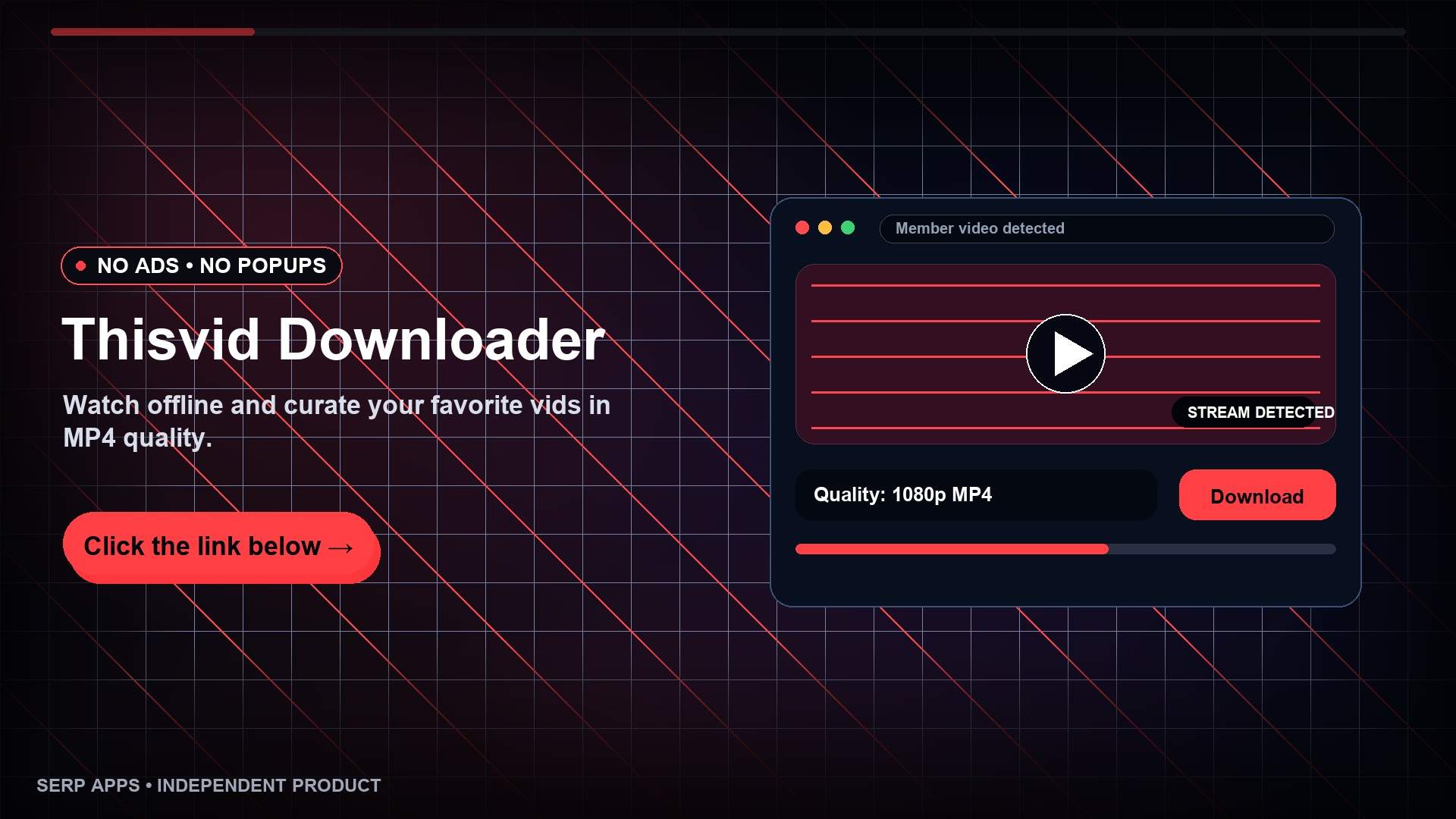 ThisVid Video Downloader